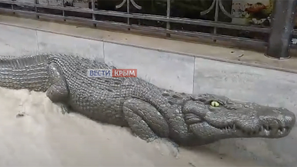 Ялтинский крокодиляриум с 200 крокодилами полностью затопило в результате наводнения