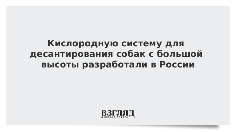 ВЗГЛЯД / Кислородную систему для десантирования собак с большой высоты разработали в России :: Новости дня - Vimarsana News