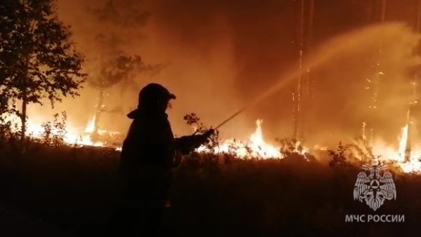 Лесной пожар под Челябинском перекинулся на 63 дома