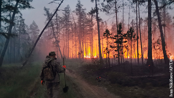 Эксперты: Измнение климата грозит российским лесам новыми пожарами