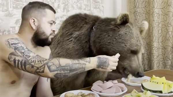 Иностранцев восхитило видео ужина россиянина с медведем