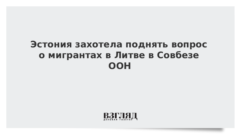 ВЗГЛЯД / Эстония захотела поднять вопрос о мигрантах в Литве в Совбезе ООН :: Новости дня - Vimarsana News