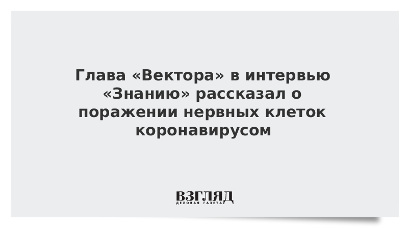 ВЗГЛЯД / Глава «Вектора» в интервью «Знанию» рассказал о поражении нервных клеток коронавирусом :: Новости дня - Vimarsana News