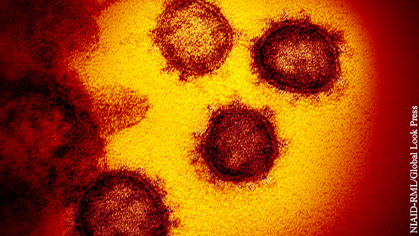 Стало известно о более смертельном йота-штамме коронавируса