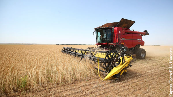 Эксперты объяснили, зачем США перевирают прогноз об урожае пшеницы в России