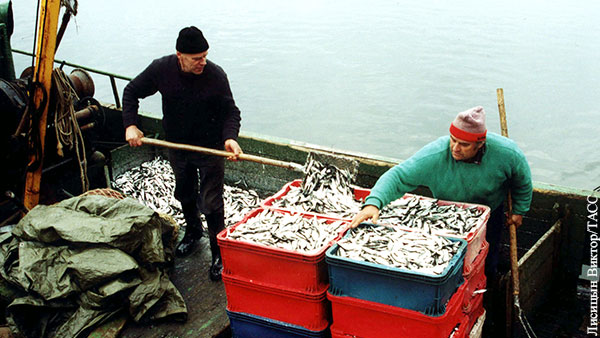 Литву обеспокоил рыбный промысел России в Балтийском море