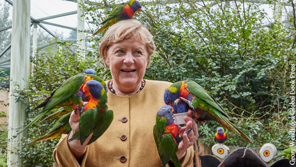 Попугай напал на Меркель в птичьем парке