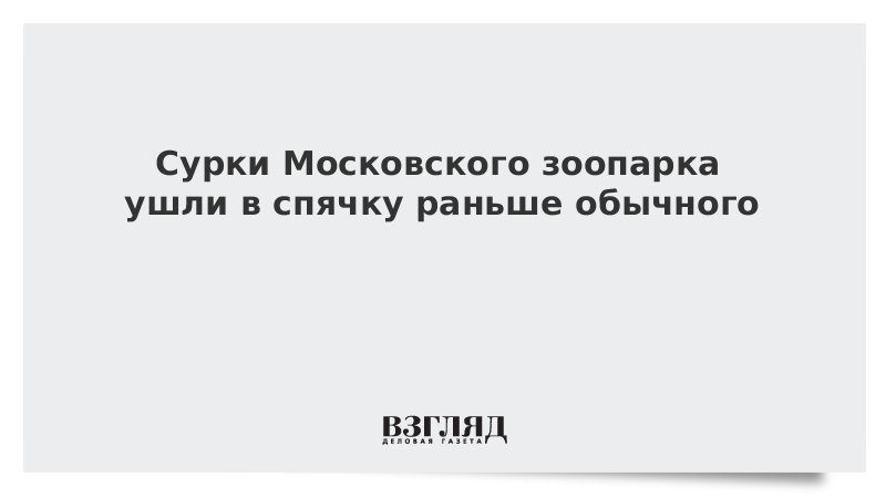 Мы уйдем из зоопарка текст