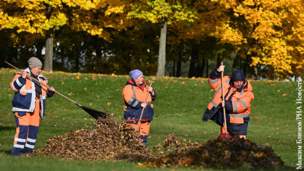Биолог раскритиковал уборку коммунальщиками листьев во дворах