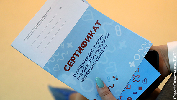За подделку сертификатов о вакцинации в России завели 503 уголовных дела