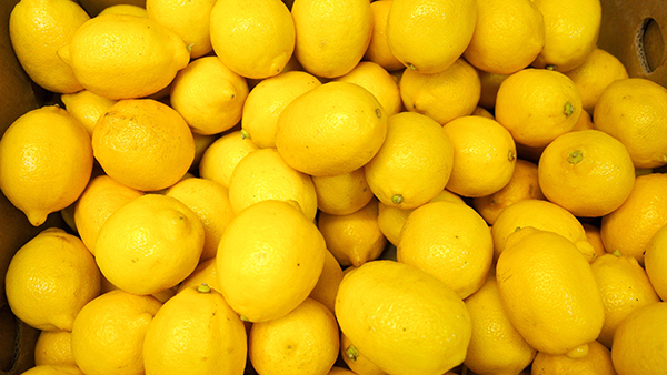 Россия ограничила ввоз лимонов из Турции