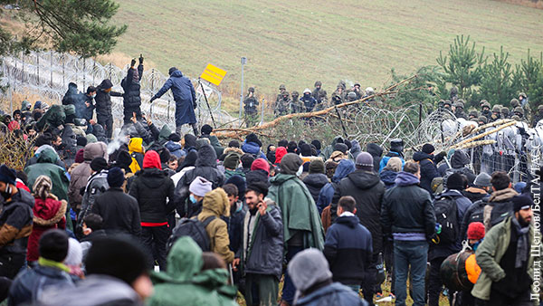 Нелегальные мигранты прорвались из Белоруссии в Польшу
