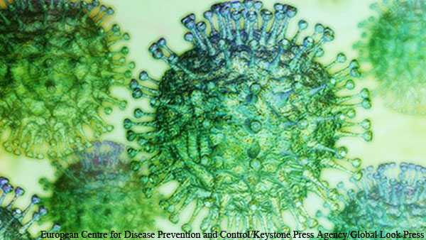 Германия признала Британию зоной распространения мутаций коронавируса