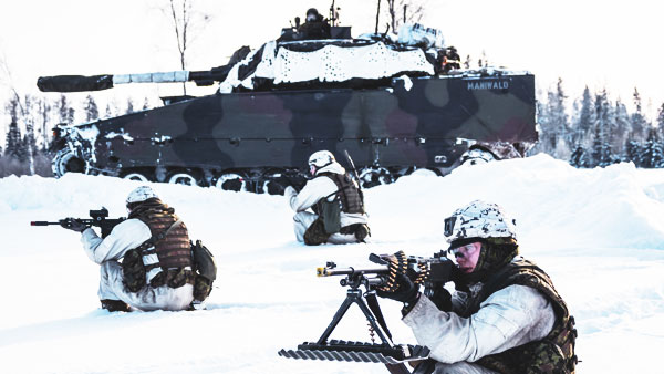 Коронавирус подорвал военную мощь Эстонии