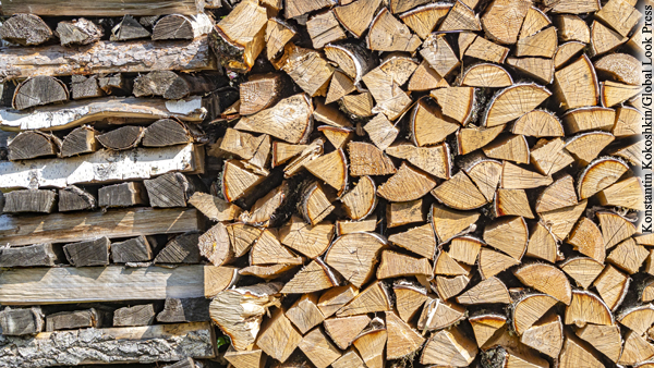 На Украине рекордно подорожали дрова