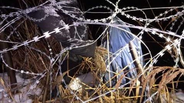 Минобороны Польши обнаружило на границе с Белоруссией манекен «мигранта-нарушителя»