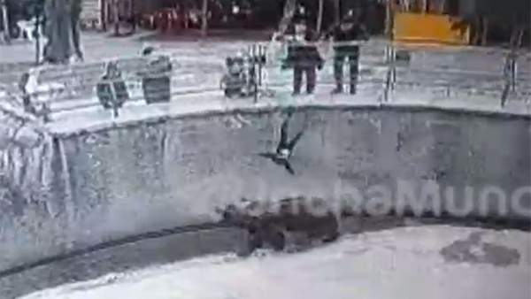 Появилось видео падения ребенка в вольер к медведю в Ташкентском зоопарке