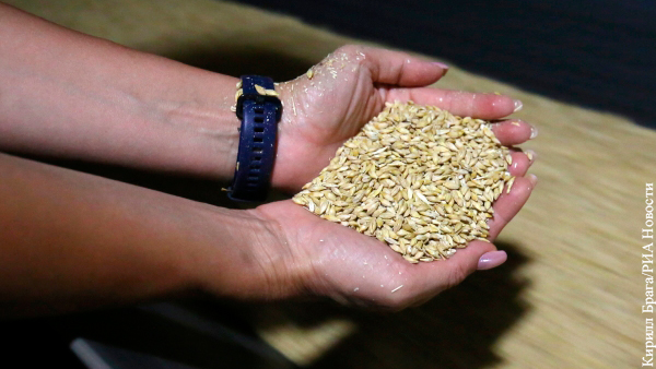Одобрен запрет на вывоз зерна из России в страны ЕАЭС