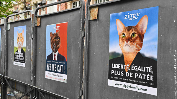 В Париже появились «предвыборные плакаты» с котами