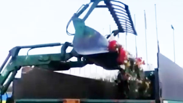 В Риге трактором сгребли возложенные 9 Мая у памятника Освободителям цветы