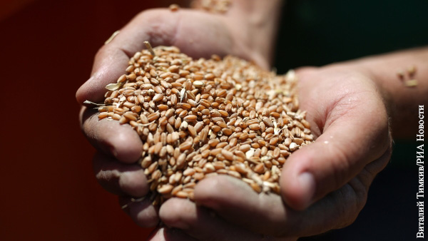 В Грузии заявили, что в стране фактически закончились запасы пшеницы