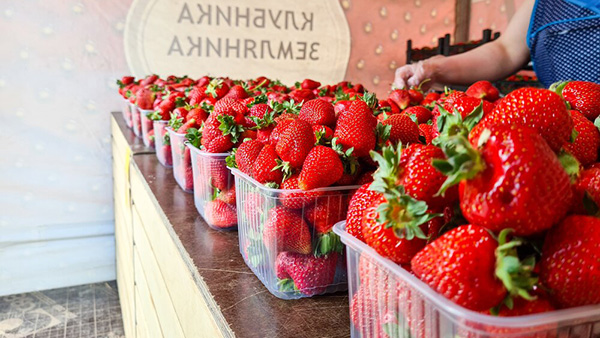 Агроном назвал главные правила выбора вкусных ягод в уличных палатках