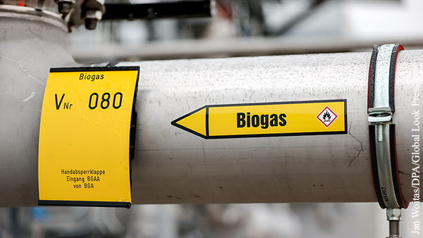 Эксперт: Украине не хватит навоза для выработки биогаза в промышленных объемах