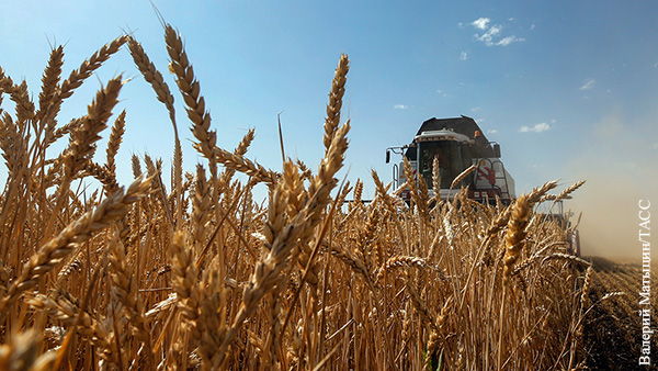 Россия с помощью Турции разоблачает миф о «блокаде зерна Украины»