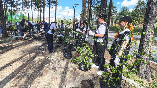 В России и за рубежом высадили 27 млн деревьев в память о погибших в Великой Отечественной