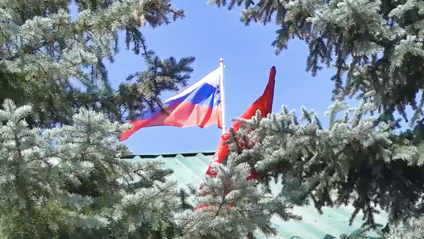 Знамя Победы водружено на администрации последней освобожденной в ЛНР Белогоровки 