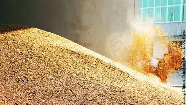 Зеленский назвал условие экспорта украинского зерна