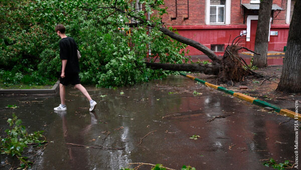 Возросло число жертв непогоды в Москве