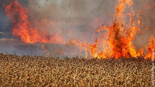 Украина подожгла поля с пшеницей в Запорожской области