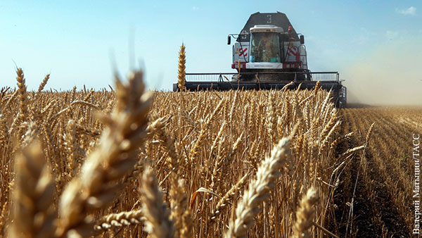 Россия предупредила о возможном пересмотре планов по экспорту зерна