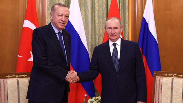 Политолог выделил главное в переговорах Путина и Эрдогана