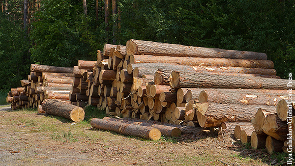 Болгария запретила экспорт древесины из-за дефицита дров
