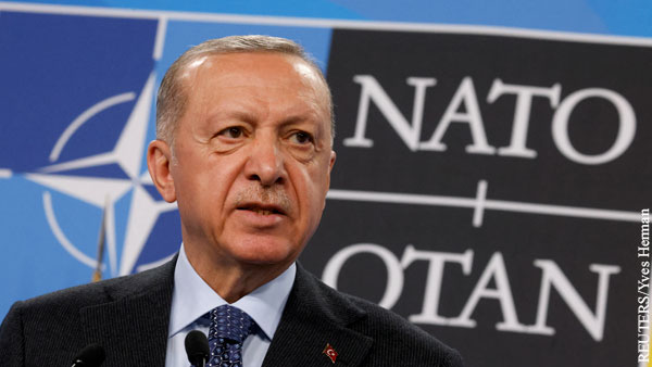 Эрдоган назвал противника Турции среди стран НАТО