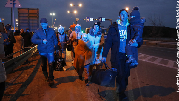 В Германии задумались о прекращении приема беженцев с Украины