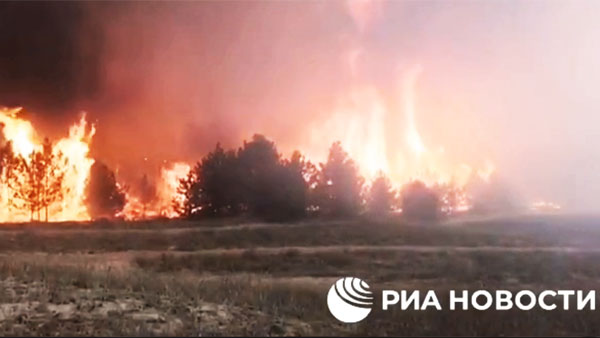 Украинские обстрелы привели к пожарам в заповеднике в Николаевской области