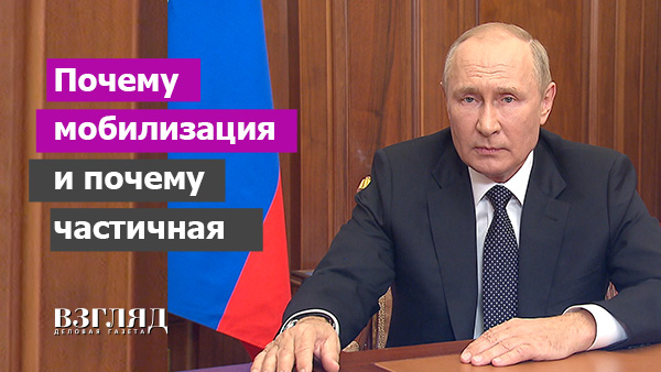Видео: Почему мобилизация и почему частичная