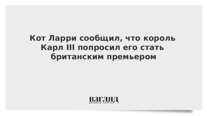 Ларри жив. Кот Ларри из английского парламента. Твиттер кота Ларри. Кот премьера Великобритании Ларри. Кот Ларри следующий премьер Англии.