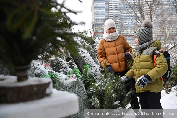 Союз производителей рождественских деревьев ЕС запретил поставку новогодних елей в Россию