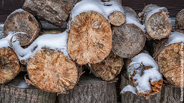 На Украине создали рекордный запас дров