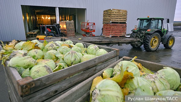 США вывели из-под санкций против России предоставление сельхозпродукции