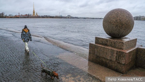 Петербургу предрекли изменение климата и бесснежные зимы