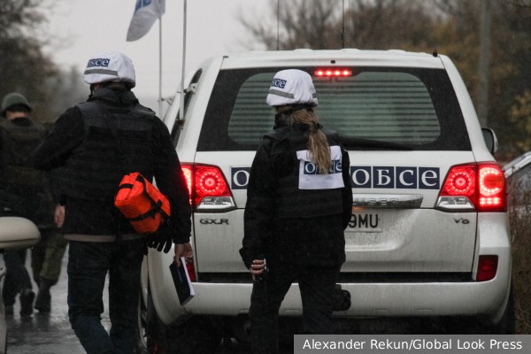 Депутат Бундестага обвинил ОБСЕ в утаивании военных преступлений Украины