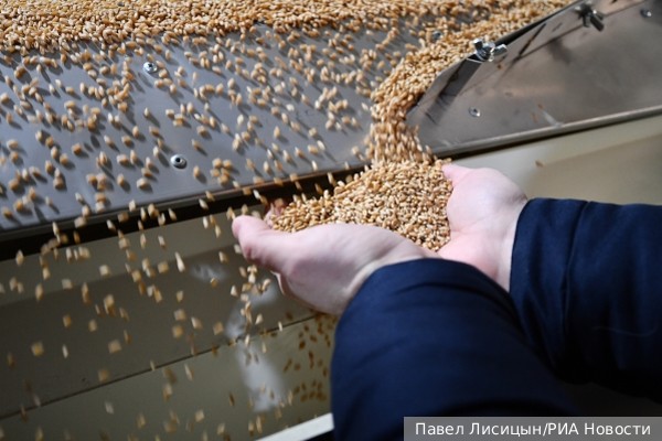 В МИД России назвали два сценария продления зерновой сделки