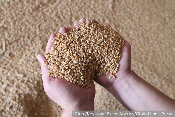МИД: Россия не возражает против продления зерновой инициативы на 60 дней