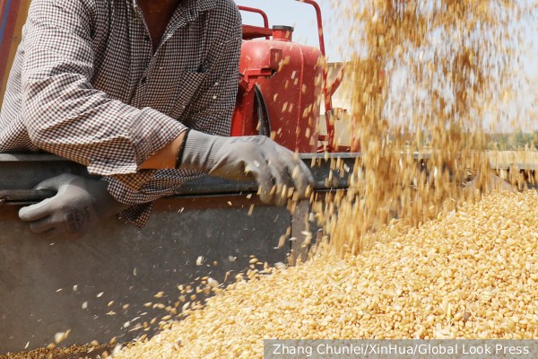Россия перечислила условия сохранения зерновой сделки