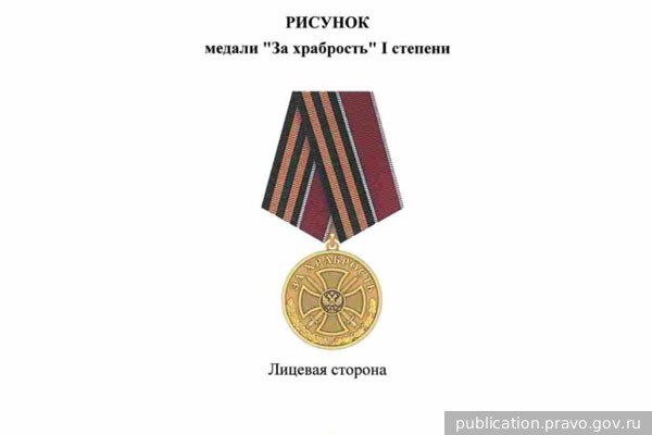 Путин учредил медаль «За храбрость»